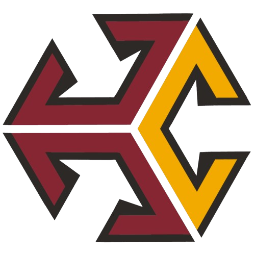 c3 logo